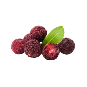 Frozen Bayberry