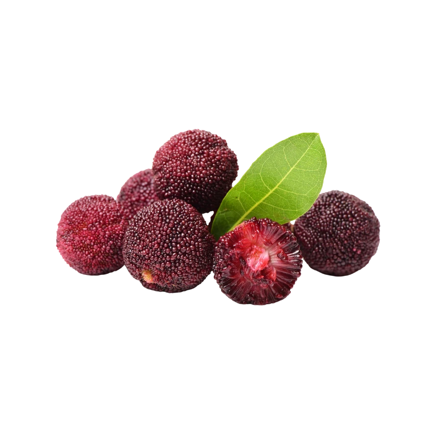 Frozen Bayberry