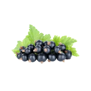 Frozen Black Currant