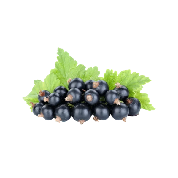 Frozen Black Currant