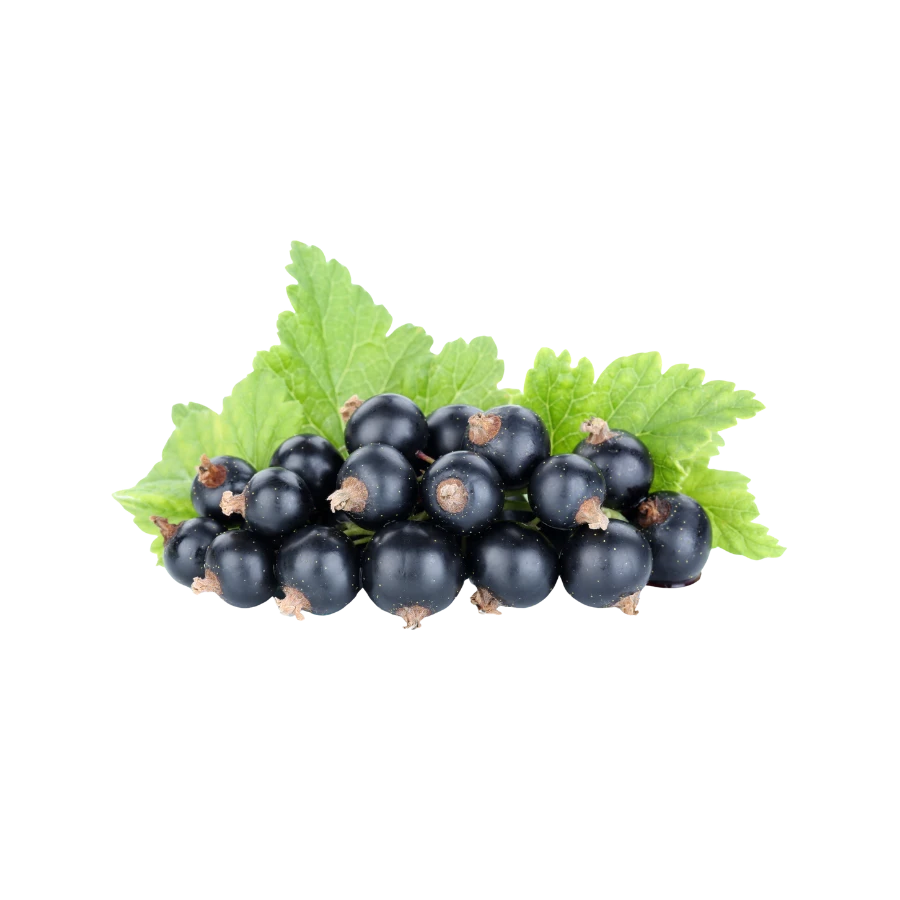 Frozen Black Currant