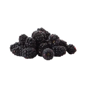 Frozen Blackberry