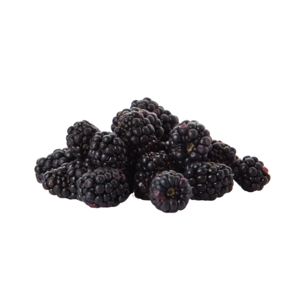 Frozen Blackberry