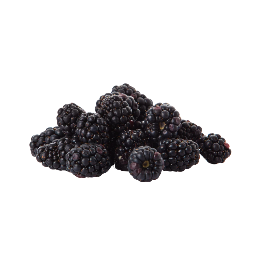 Frozen Blackberry