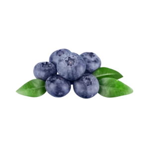 Frozen Blueberry