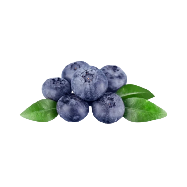 Frozen Blueberry