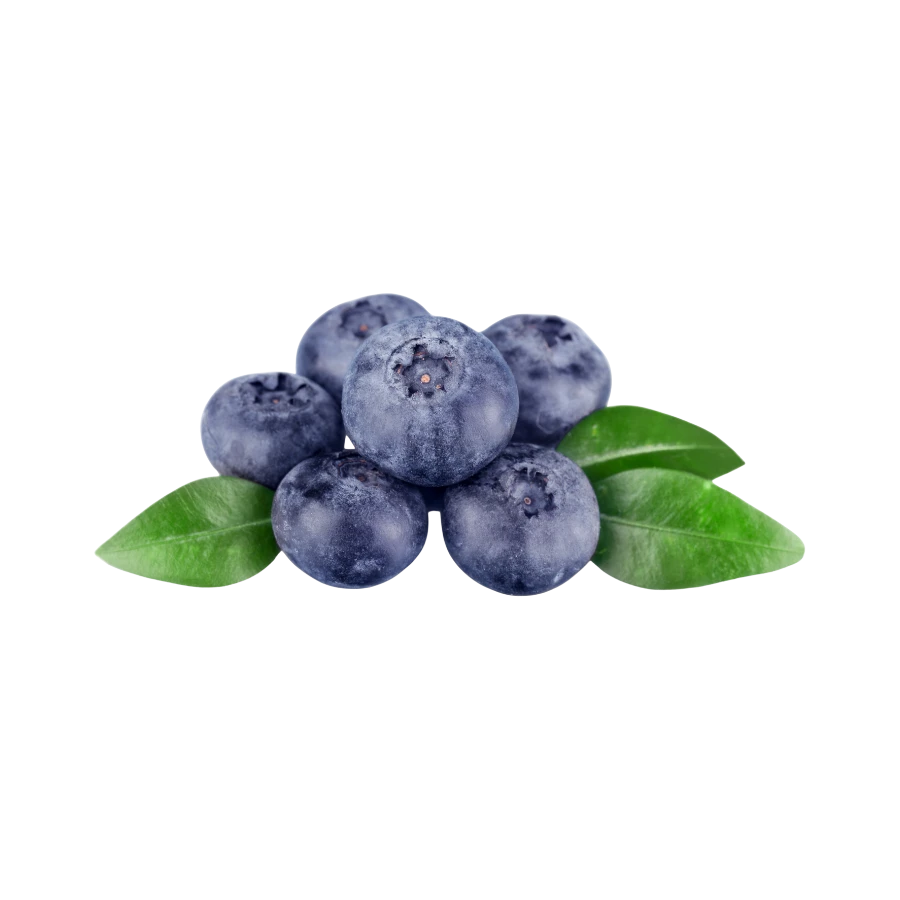 Frozen Blueberry