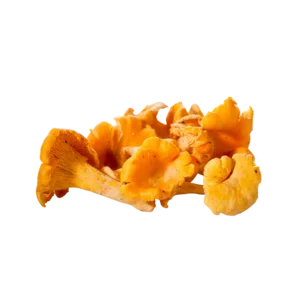 Frozen Cantharellus Cibarius