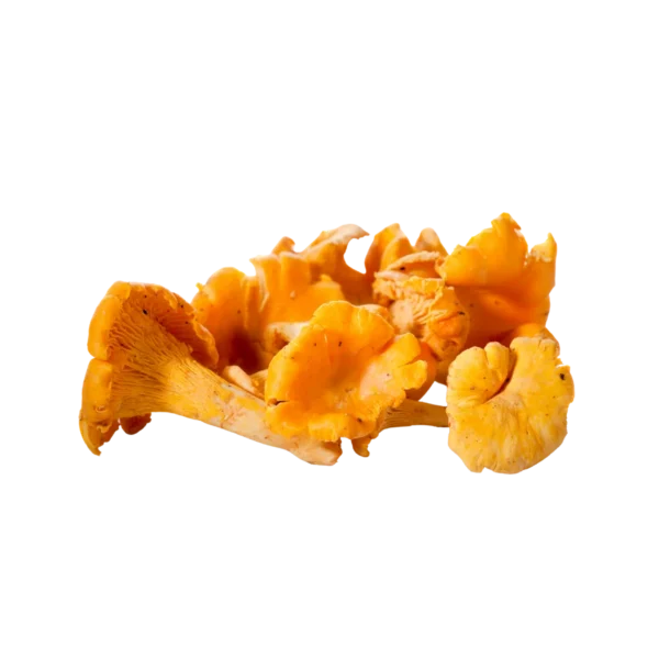 Frozen Cantharellus Cibarius