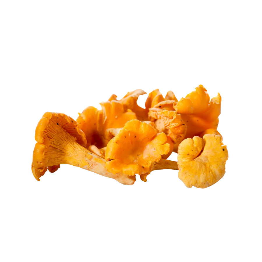 Frozen Cantharellus Cibarius