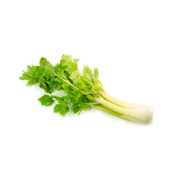 Frozen Celery