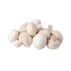 Frozen Champignon Mushroom