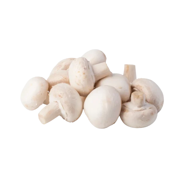 Frozen Champignon Mushroom