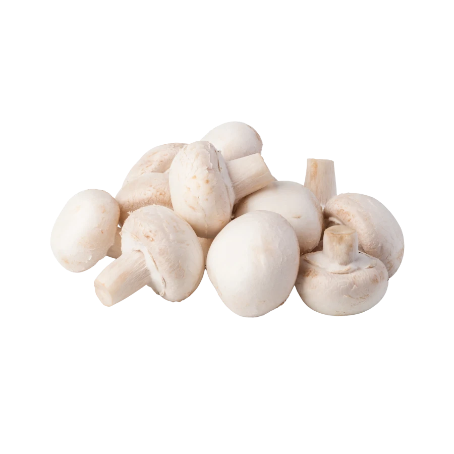 Frozen Champignon Mushroom