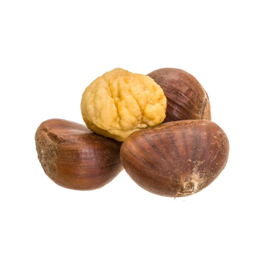 Frozen Chestnut