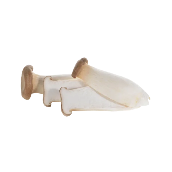 Frozen Eryngii Mushroom