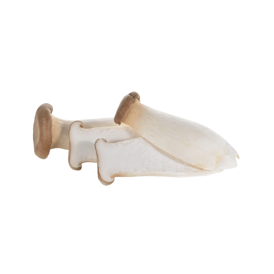 Frozen Eryngii Mushroom