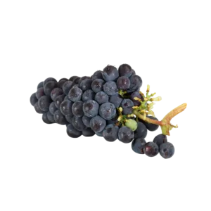 Frozen Grape