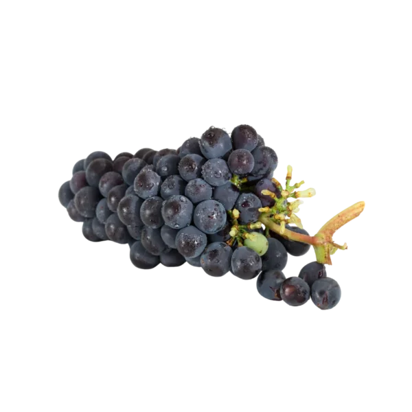 Frozen Grape