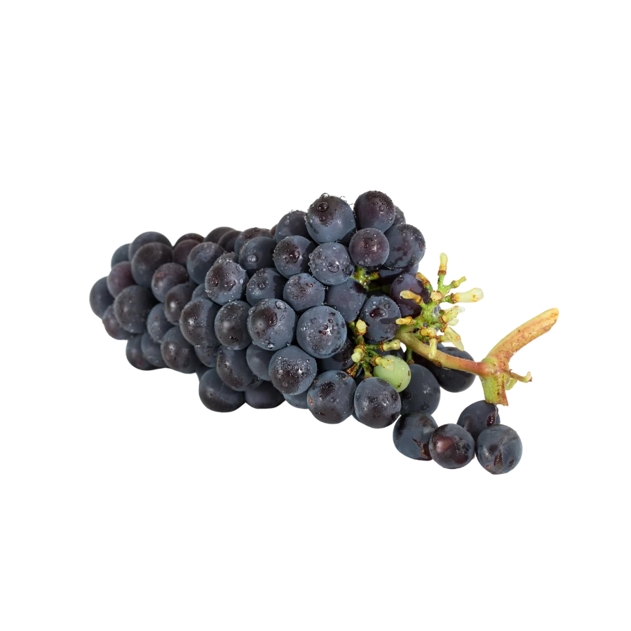 Frozen Grape