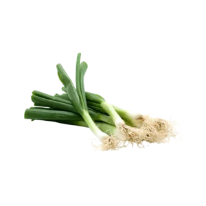 Frozen Leek