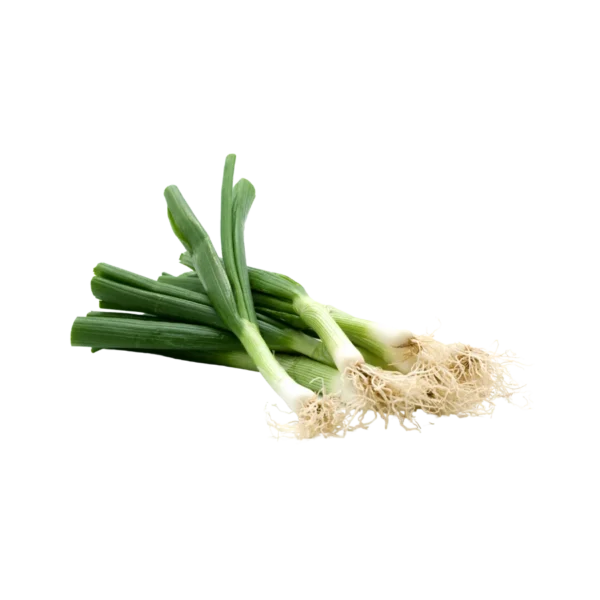 Frozen Leek
