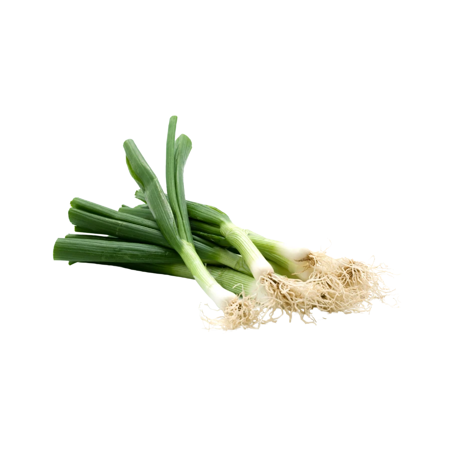 Frozen Leek