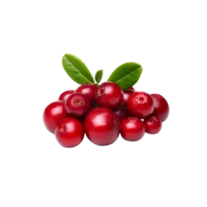 Frozen Lingonberry