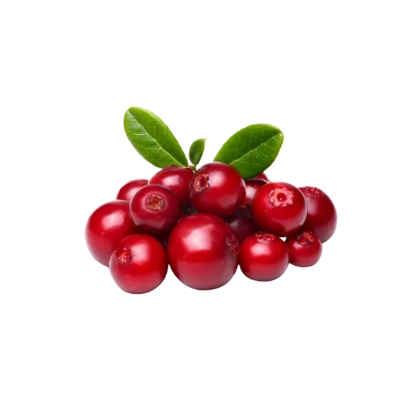 Frozen Lingonberry