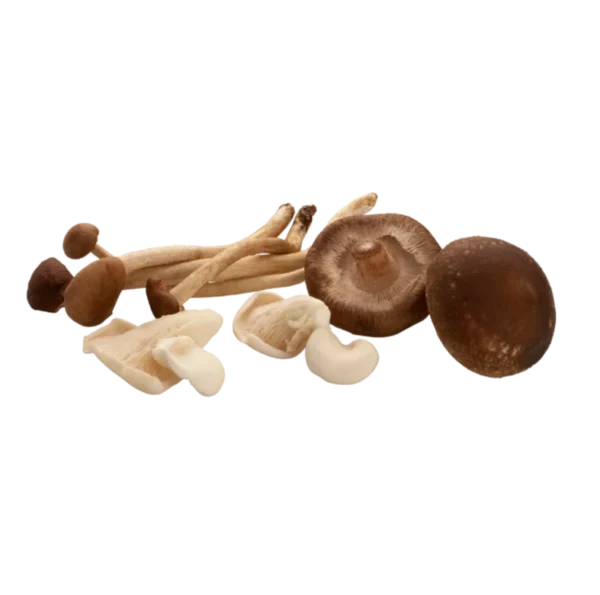 Frozen Mixed Mushrooms