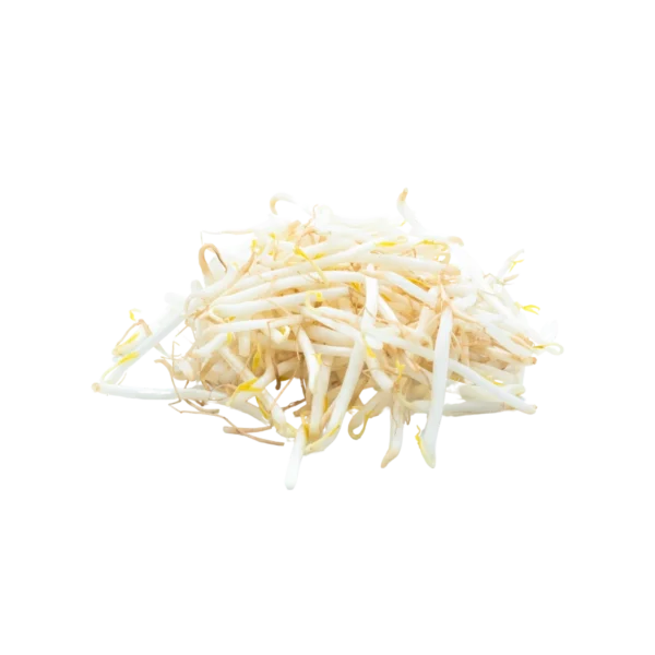 Frozen Mung Beans Sprout