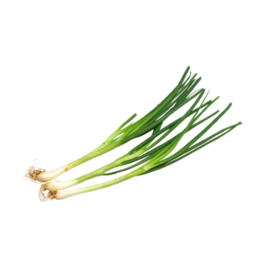 Frozen Spring Onion