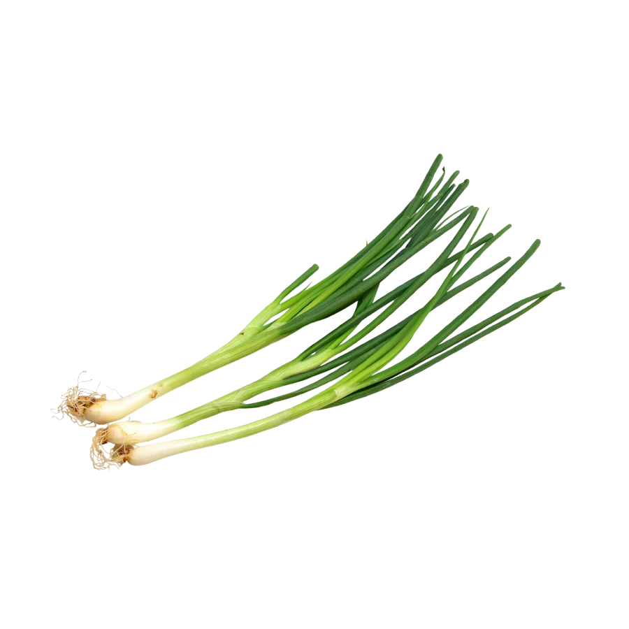Frozen Spring Onion