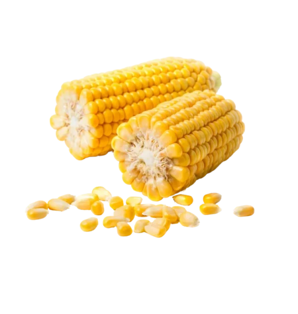 Frozen Sweet Corn