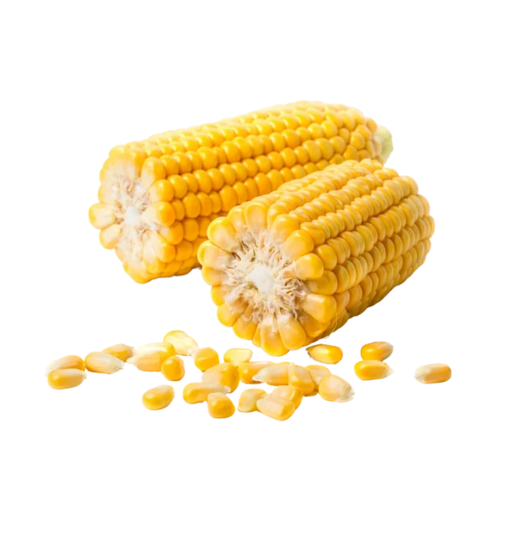 Frozen Sweet Corn